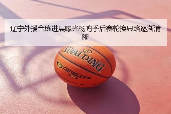 辽宁外援合练进展曝光杨鸣季后赛轮换思路逐渐清晰