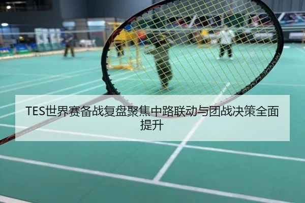 TES世界赛备战复盘聚焦中路联动与团战决策全面提升