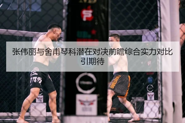 张伟丽与舍甫琴科潜在对决前瞻综合实力对比引期待