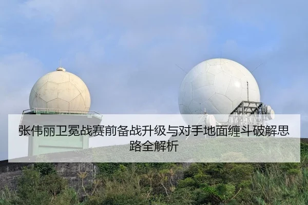 张伟丽卫冕战赛前备战升级与对手地面缠斗破解思路全解析